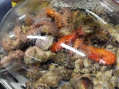 -争先鲜·蒸汽海鲜自助·鲜切牛肉