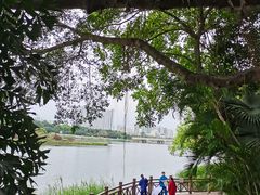 -南宁南湖公园