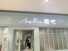 -安格丽娜·狗咖·猫咖羊驼咖(春熙路百盛商场店)
