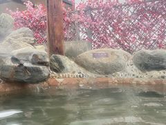 -华山御温泉度假村