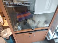 寄养箱-帕帕拉兹宠物(亚洲旗舰店)