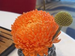 -香乐园·淮扬菜中餐厅·Shang Garden(福田香格里拉店)