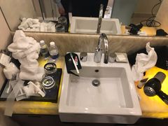 -芽庄喜来登水疗酒店