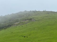 -大姆山草场