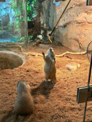 -Zoolung Zoolung动物主题公园(海信广场店)