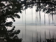 -大埔公路-马料水段香港中文大学(公交站)