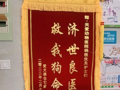 -关爱动物医院·心脏·中兽医·异宠(金牛路分院)