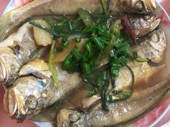 -南汇老顾农家乐采摘大团水蜜桃采摘店