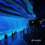 🐳长隆海洋王国的正确解锁方式