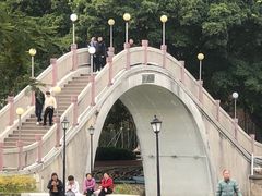 -金砂公园