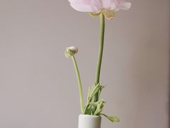 -宴昆山·私房菜(春晖店)