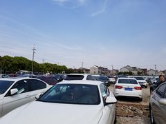 -新场古镇-停车场