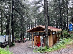 -重庆睡佛山森林公园