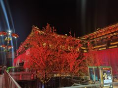 -大唐不夜城