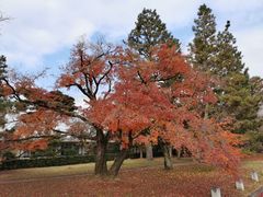 -京都御所