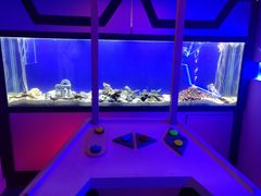 -MOJO密室逃脱(中街旗舰店)