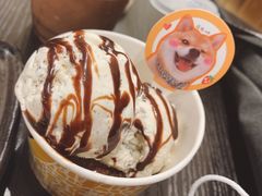 -逗柴咖啡屋·狗咖猫咖宠物桌游