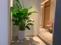 -苑苑vbeauty科技美容SPA
