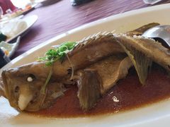 -欢乐海岸美食联盟