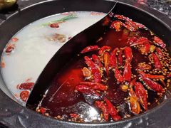 -蜀大侠火锅(森兰花园城店)