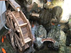 -丽江庭院·云南野生菌·海鲜火锅(鼓楼四合院店)