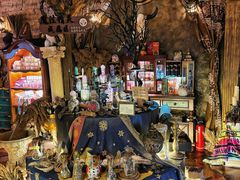 -雪灵魔法世界SHELLY’S TAROT(大良桂畔里店)