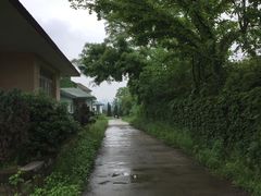 -环球公园