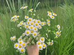 -白鹭湾湿地公园