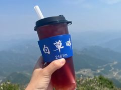 -白草畔自然风景区