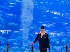 -成都浩海立方海洋公园