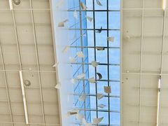 -朵云书院(滴水湖店)