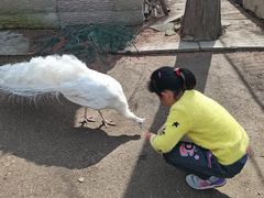 -南京金牛湖风景区