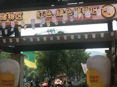 -苏州乐园森林水世界