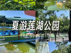 -莲湖公园