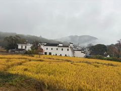 -塔川景区