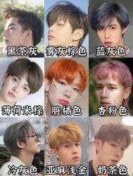 -IDOL-PLUS