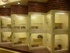 -龙猫仔乐园(惠福东路店)