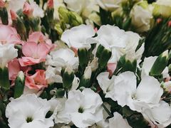 -花心思鲜花店(武昌徐东店)