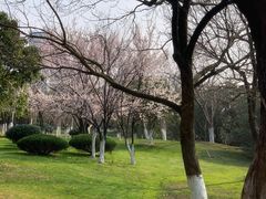 -艾溪湖湿地公园