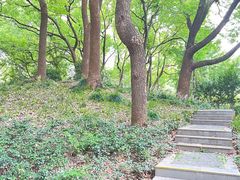 -徐家汇源景区-衡山公园