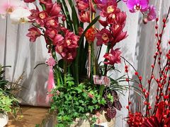 -弗劳尔花艺坊(龙涛店)