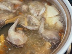 -鸽鸟轩(石岐店)