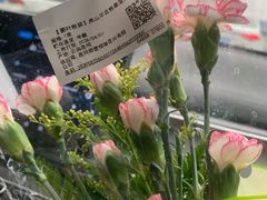 -脑馋粉儿(三里屯店)
