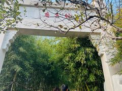-竹子庵公园