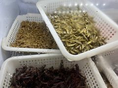 -元谋凉鸡店(百年老店)