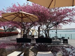 -望海·帆船主题咖啡厅•品茗下午茶(石湖景区店)