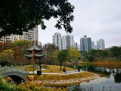 -四海公园(南山区)