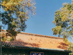 -晋祠公园