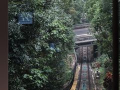 -太平山顶