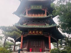 -迎泽公园